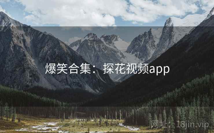 爆笑合集:探花视频app