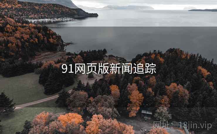 91网页版新闻追踪