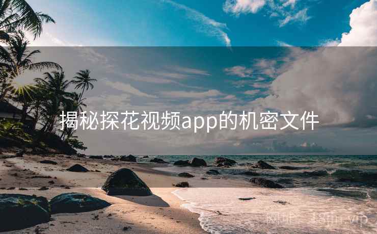 揭秘探花视频app的机密文件