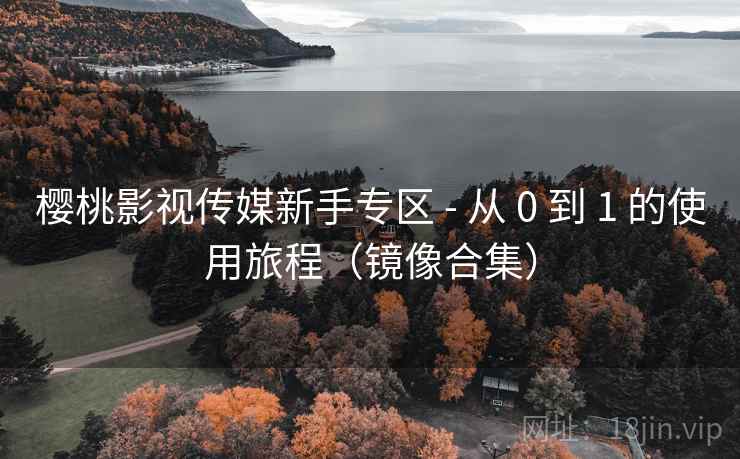 樱桃影视传媒新手专区 - 从 0 到 1 的使用旅程（镜像合集）