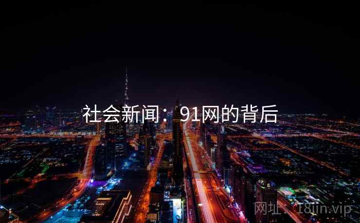 社会新闻:91网的背后