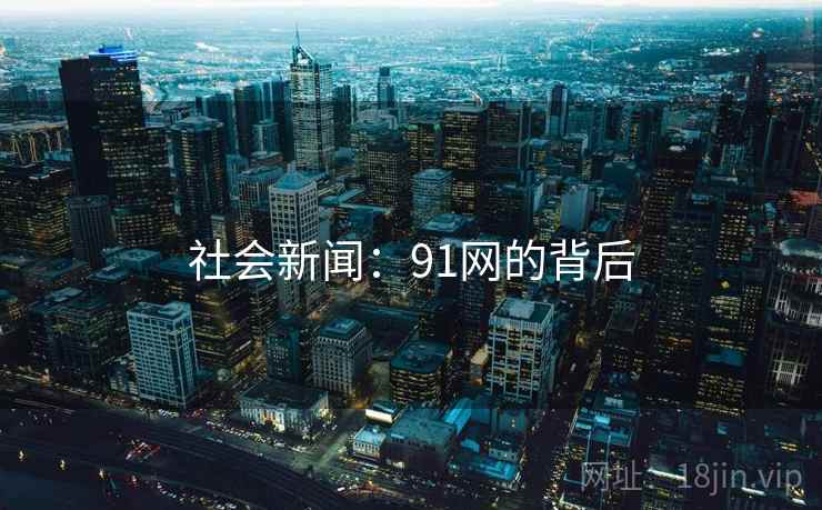 社会新闻:91网的背后
